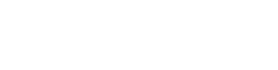 Lazorpoint logo reverse